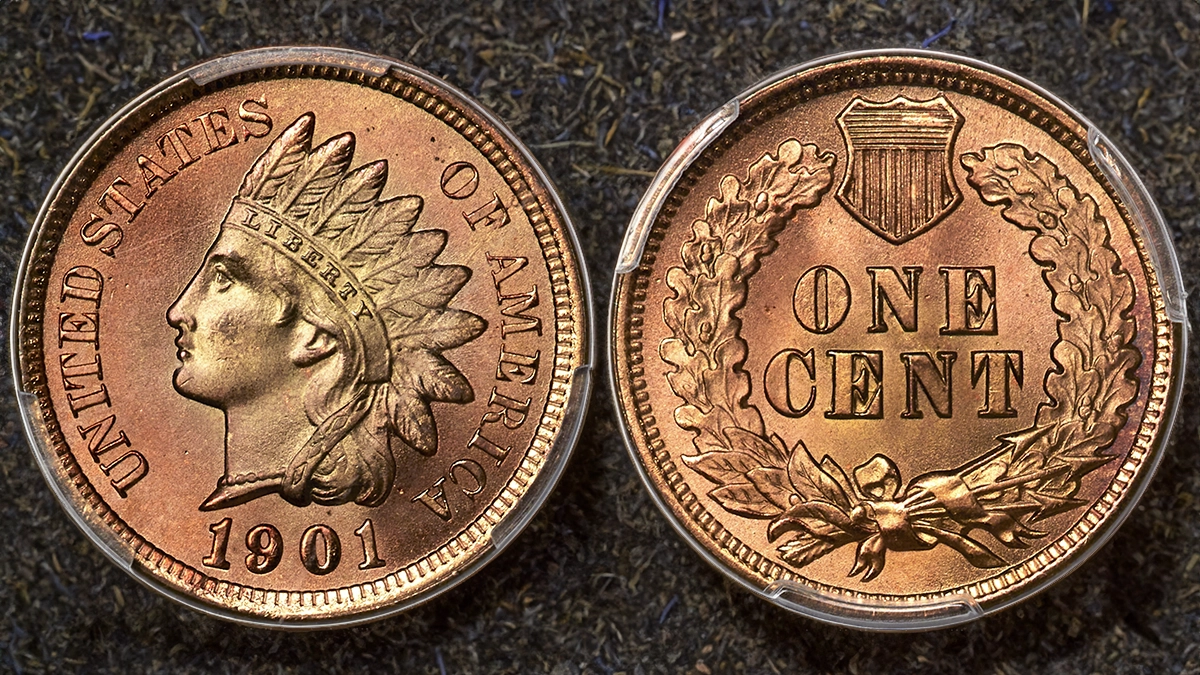 Group of 1901 Indian Head pennies showing various grades from worn to mint state, illustrating the survival spectrum